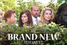 Sinopsis Film The Brand New Testament (2015) Turunnya Dewa Ke Bumi Mencari 6 Utusan Baru!
