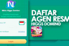 Cara Jadi Mitra Higgs Domino Apk Terbaru 2024 Lengkap Link Pendaftaran, Simak Update Paling Fresh Di Sini