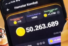 Masih Aktif! Kode Morse Hamster Kombat Hari Ini 20 Juni 2024, Jutaan Koin Masuk Kantong Otomatis!