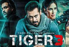 Nonton Film Tiger 3 (2023) Sub Indo Full Movie, Aksi Salman Khan dan Katrina Kaif yang Dapat Sambutan Luar Biasa di India