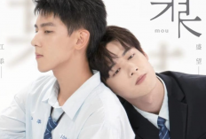 Synopsis et Lien Pour Regarder Drame BL The On1y One (2024) VOSTFR-Streaming VF Épisode Complet Gratuit Sans Login