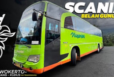 Jadwal Bus Nusantara Semarang Purwokerto Terbaru 2025, Cara Pesan dan Daftar Harga Tiket