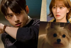 Eun Hwan Mengamcam Hae Na! Nonton A Good Day to Be a Dog (2023) Episode 9 Subtitle Indonesia