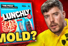 La Polémica de Lunchly Mold Se Hace Viral en Las Redes Sociales,MrBeast Opina Sobre El Caso