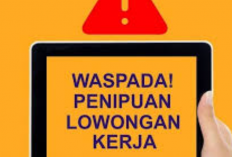 Cek Profil PT Surya Cargo Logistic Diduga Lakukan Penipuan, Kenali Ciri-Ciri Penipuan Lewat Undangan Interview