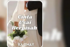 FREE Baca Novel Cinta Usai Berpisah Full PDF, Nangis! Perjuangan Istri Pertahankan Keutuhan Rumah Tangga