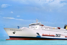 INFO Jadwal KM Dharma Ferry 7 Balikpapan September 2024 Lengkap Dengan Harga Tiket, Syarat, dan Cara Pesannya 