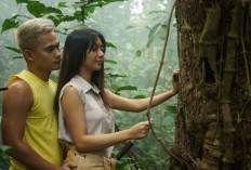 Nonton Virgin Forest (2022) Movie Full HD 4K Subtitle Indonesia, Kisah Fotografer Terlibat Skandal di Hutan